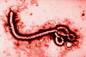 27-juni-1976-dunia-saksikan-lahirnya-virus-ebola