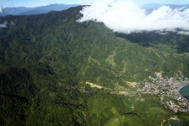Mengkhawatirkan, Pengelolaan Hutan Aceh