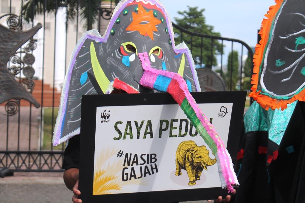 Earth Hour Aceh Serukan Selamatkan Aceh