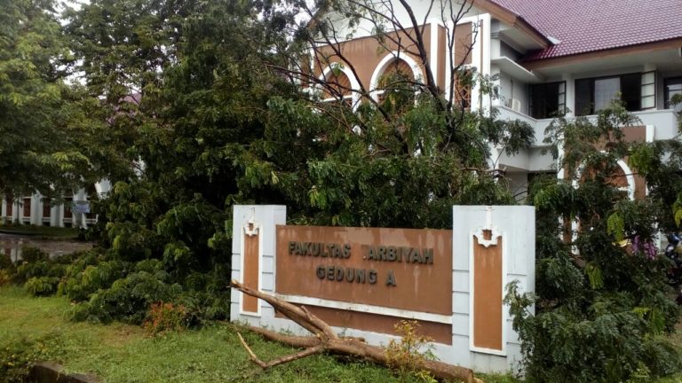 Hujan Deras, Pohon di Depan Fakultas Tarbiyah Tumbang