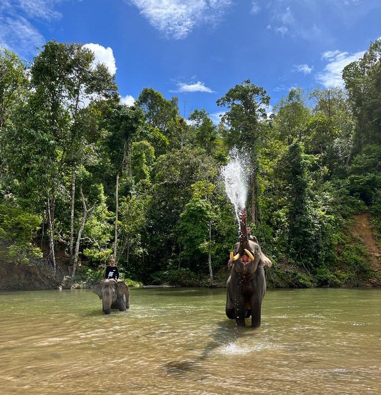 Mengintip Konservasi Gajah di CRU Sampoiniet