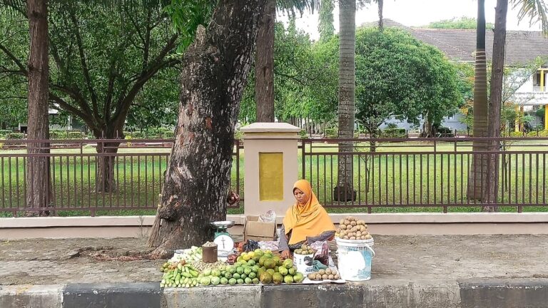 Semangat Perempuan Penjual Buah Pinggir Jalan, Sehari Bisa Bawa Pulang RP 300 Ribu