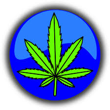 Marijuana di Kalangan Muda