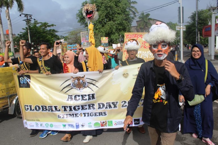 Pecinta Satwa Desak Pemerintah Aceh Selamatkan Harimau Sumatera
