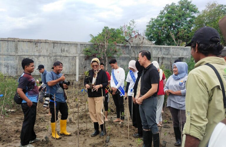 Mangrove Mission, Peduli Lingkungan Selamatkan Masa Depan