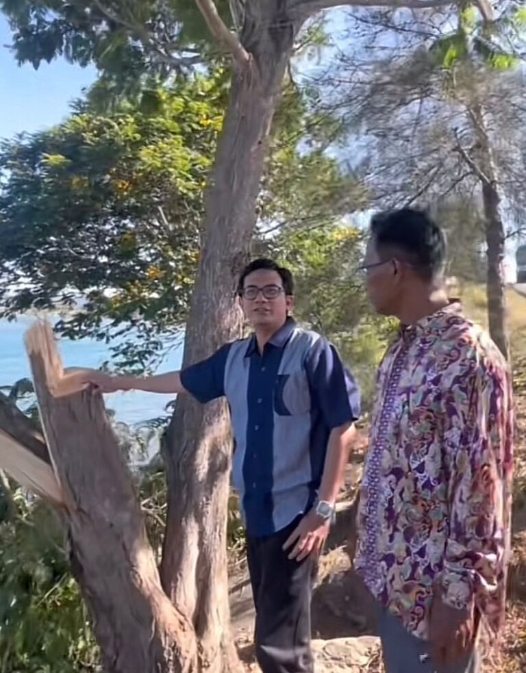 Ketua DPRK Sesalkan Pemotongan Pohon Hasan Ulee Lheu, Padahal Bisa Meningkatkan Pendapatan UMKM