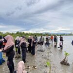 Aksi Tanam Mangrove Peringati Hari Lingkungan Hidup Sedunia di Baitussalam